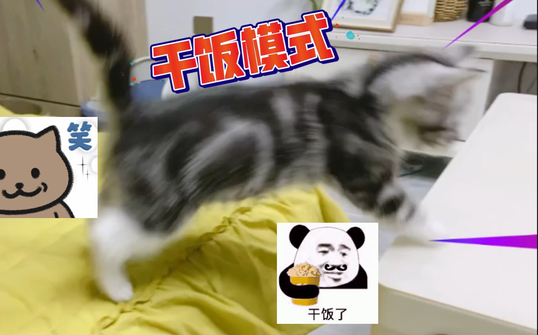 小奶猫 干饭喵 五分钟无删减哔哩哔哩bilibili