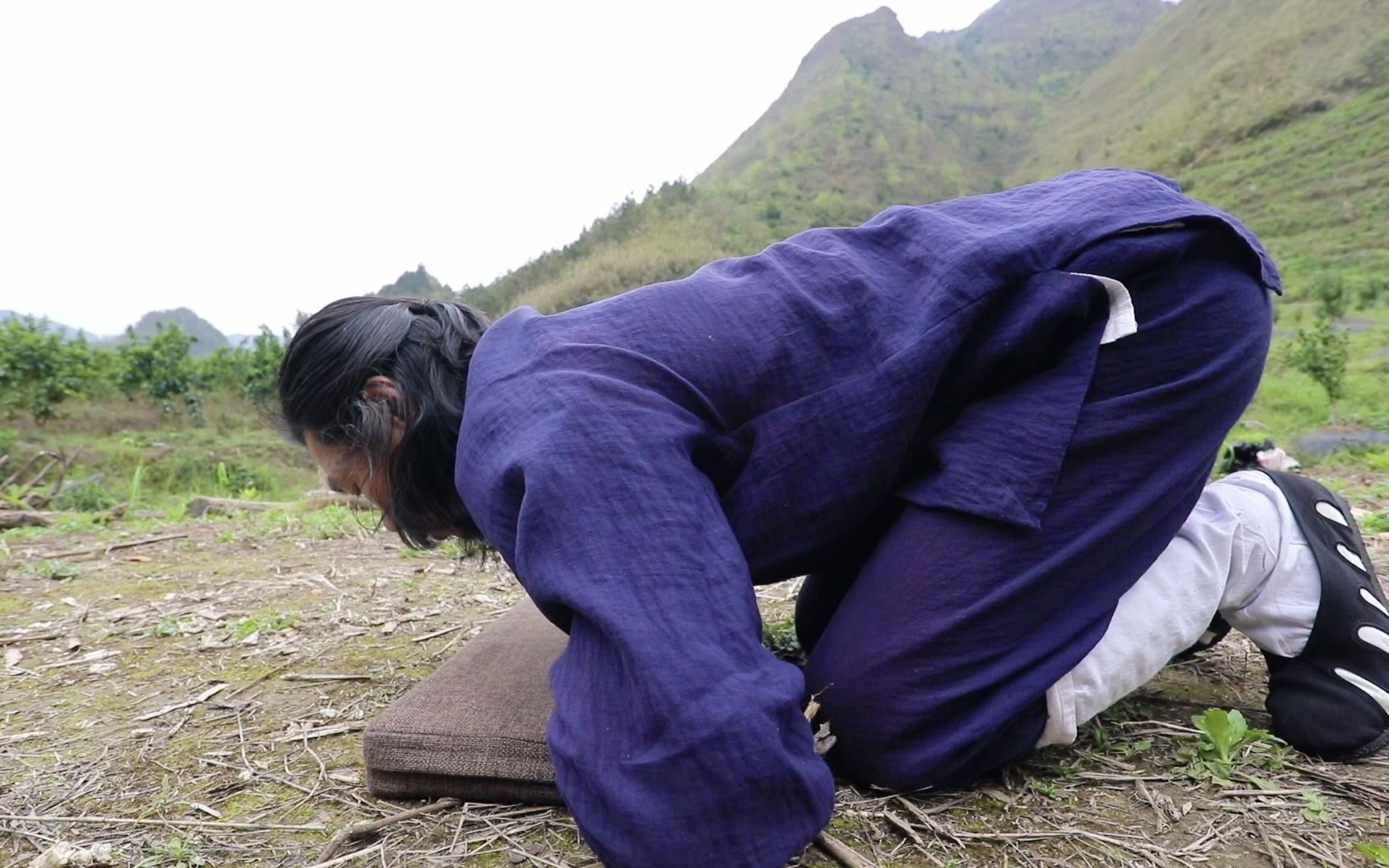 道家养生龟息功,功法和功理详细讲解