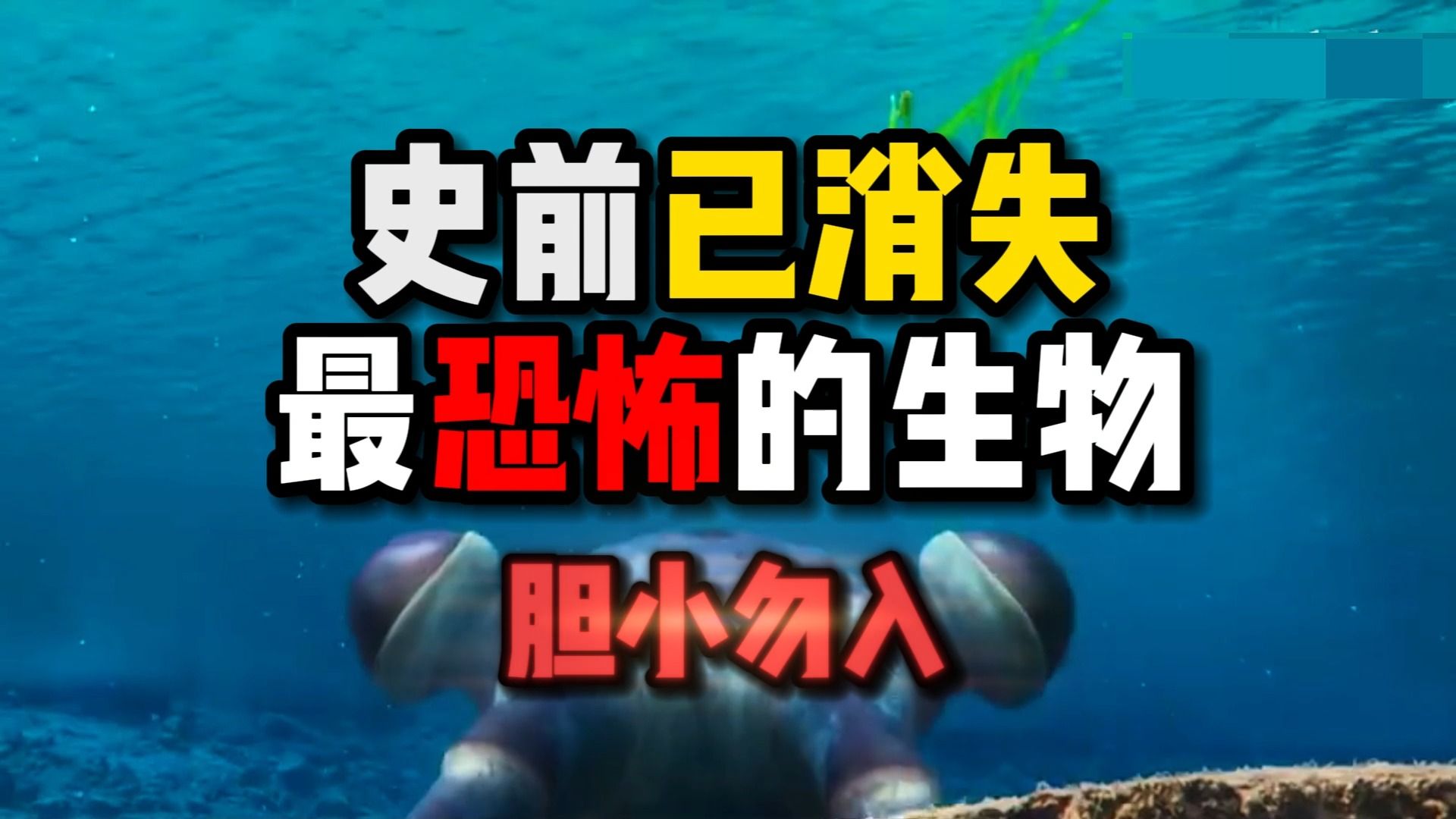 史前消失的恐怖生物,胆小勿入