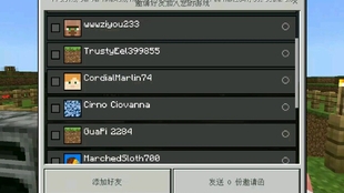 我的世界国际版如何加好友 教程 哔哩哔哩 つロ干杯 Bilibili