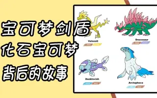 化石宝可梦 哔哩哔哩 Bilibili