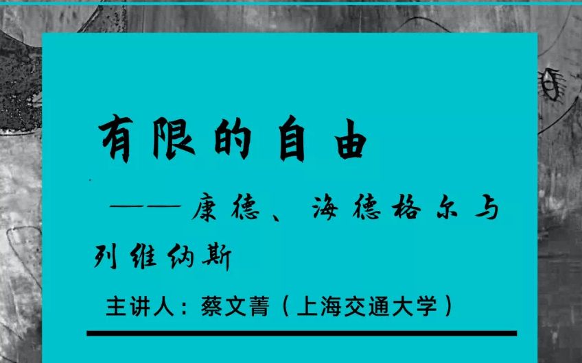 德国古典哲学与现象学系列讲座(五)| 蔡文菁:有限的自由——康德、海德格尔与列维纳斯哔哩哔哩bilibili