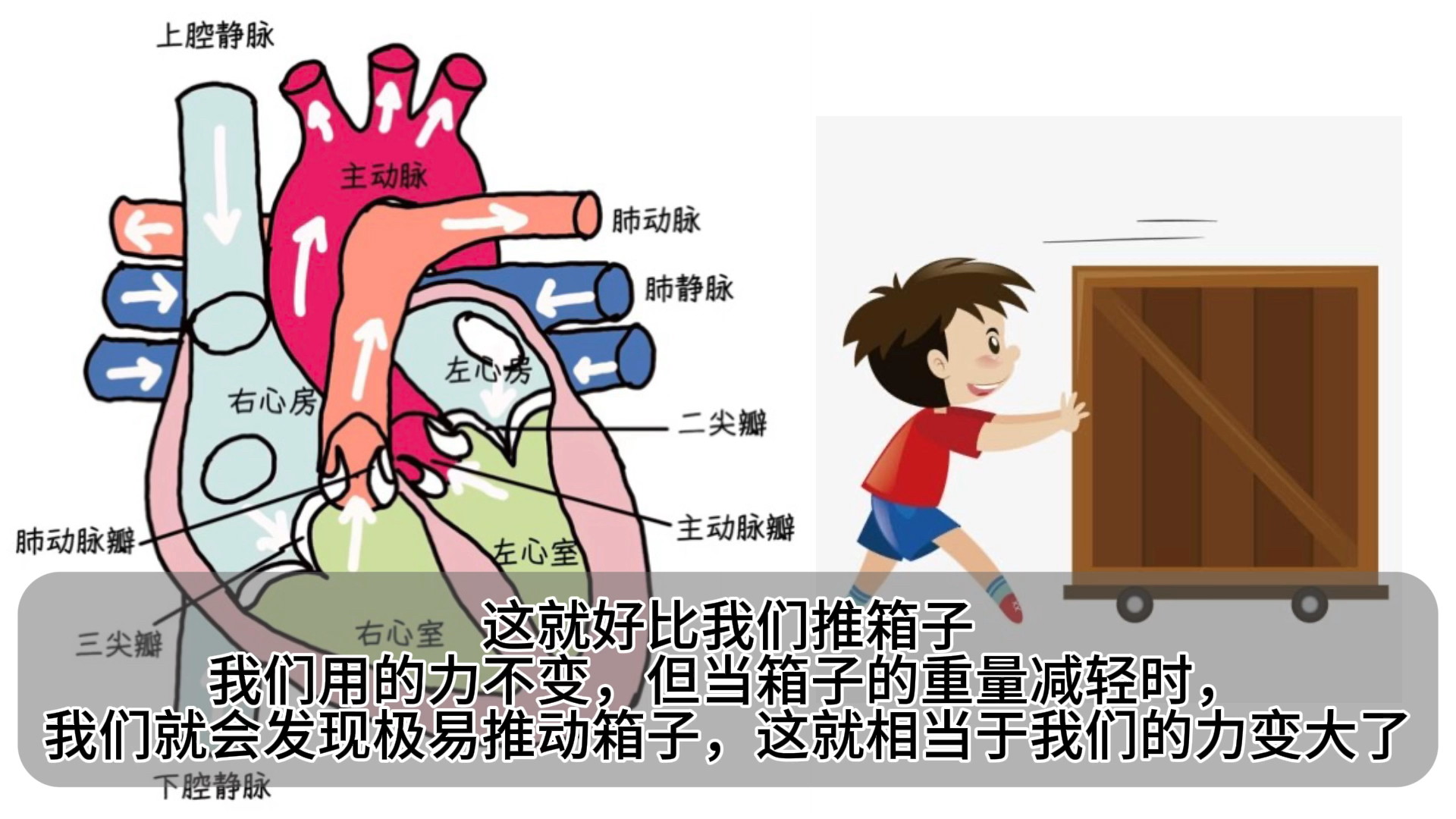 【我们的心音】心脏的“语言”—心音，它是如何产生，又传递者何种信息呢？让我们来共同了解一下