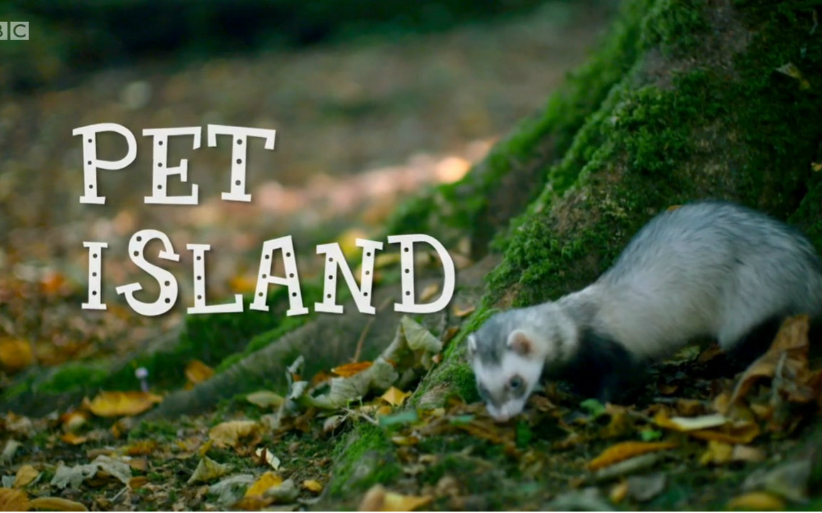 纪录片.bbc.宠物之岛.pet.island.2016.简介[英字]