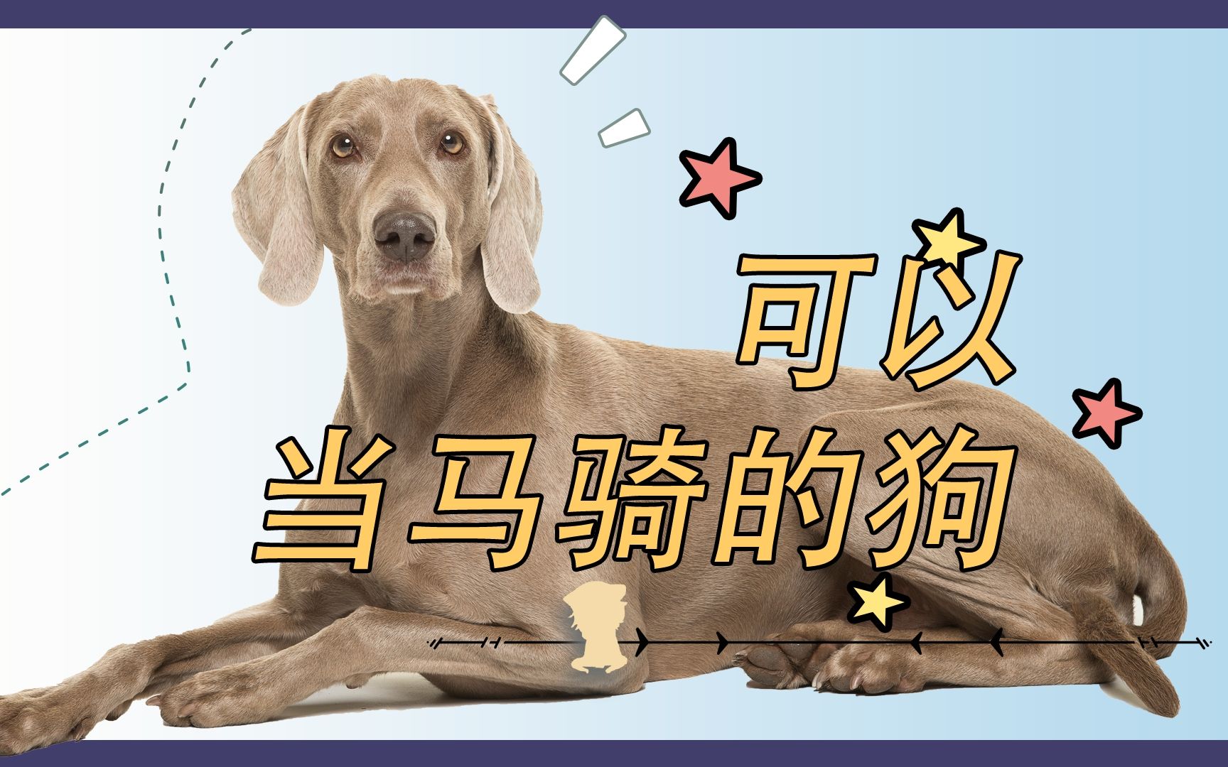 可以当马骑的狗——大丹犬哔哩哔哩bilibili