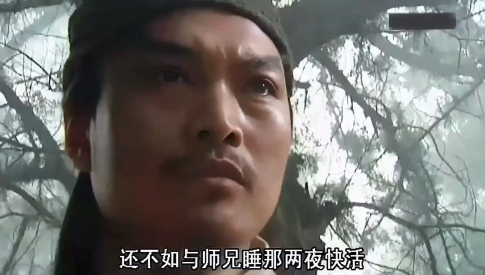 净说些大实话