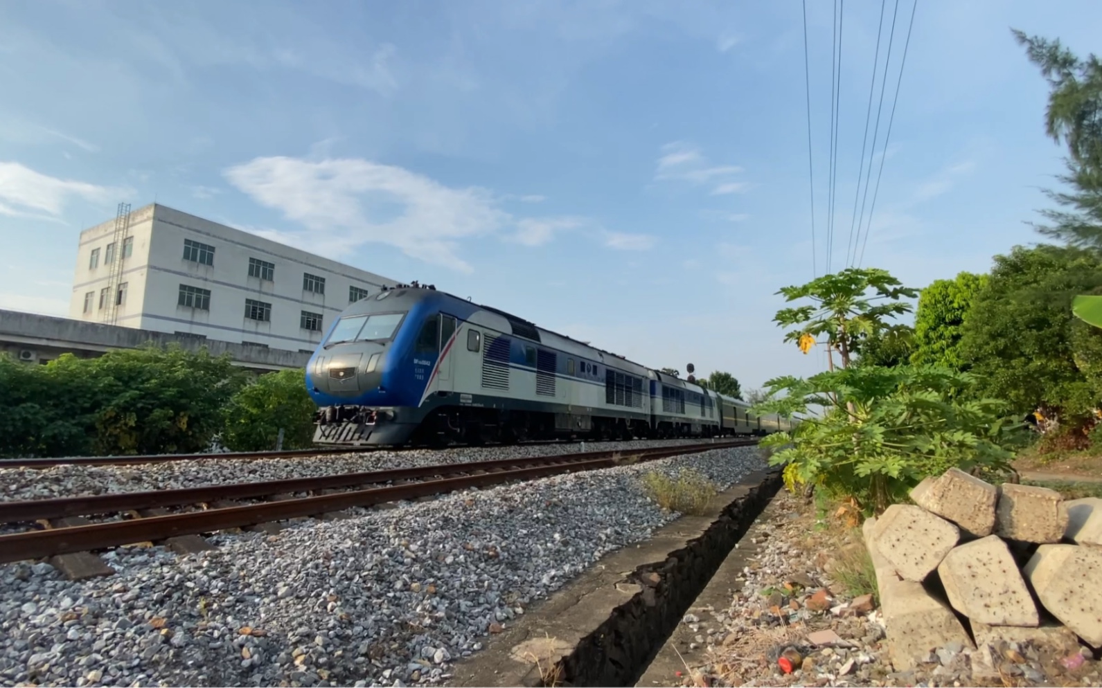 【三茂铁路】9.20 z201次通过横窖道口,行驶广州至肇庆区间