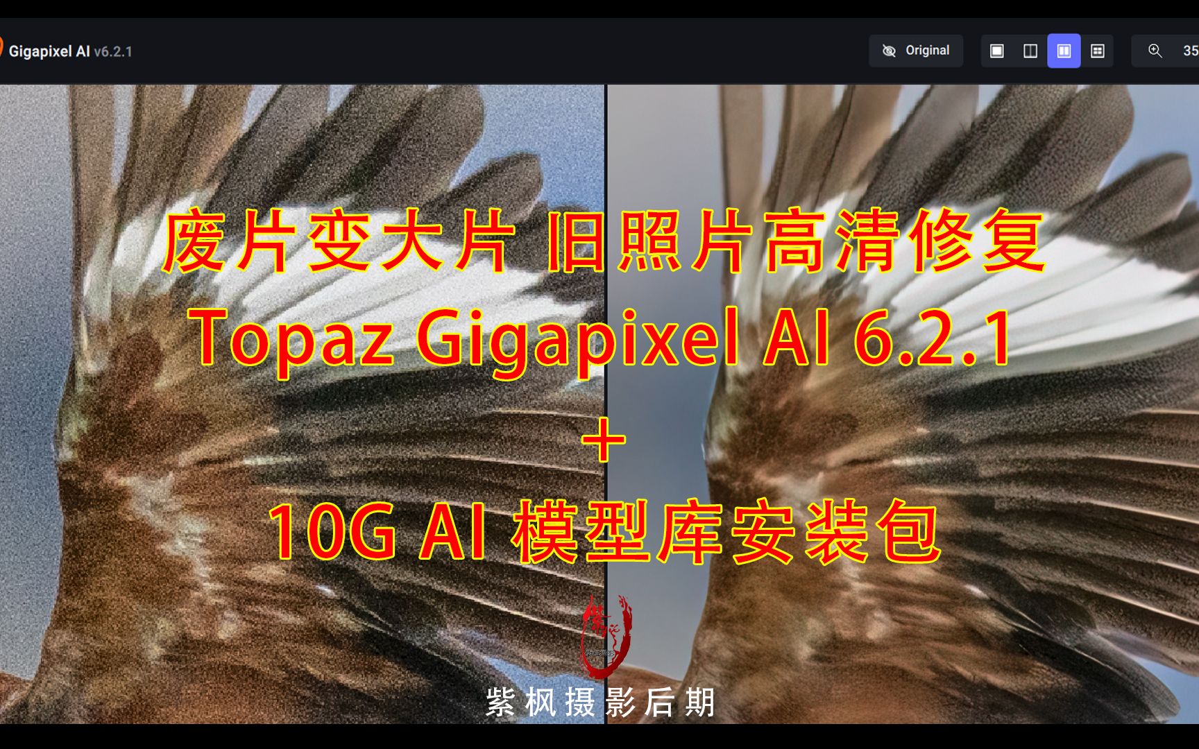 [图]废片变大片 旧照片高清修复 TopazGigapixel AI 6.2.1+10G 模型库