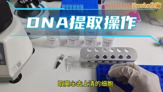 下载视频: DNA提取试剂盒 磁珠法 详细操作