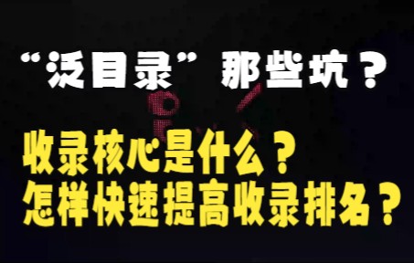 “泛目录”那些坑,收录核心是什么?怎样快速提高收录排名?哔哩哔哩bilibili