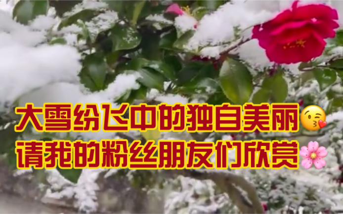 【高梨康治】喊大家来看雪景~哔哩哔哩bilibili