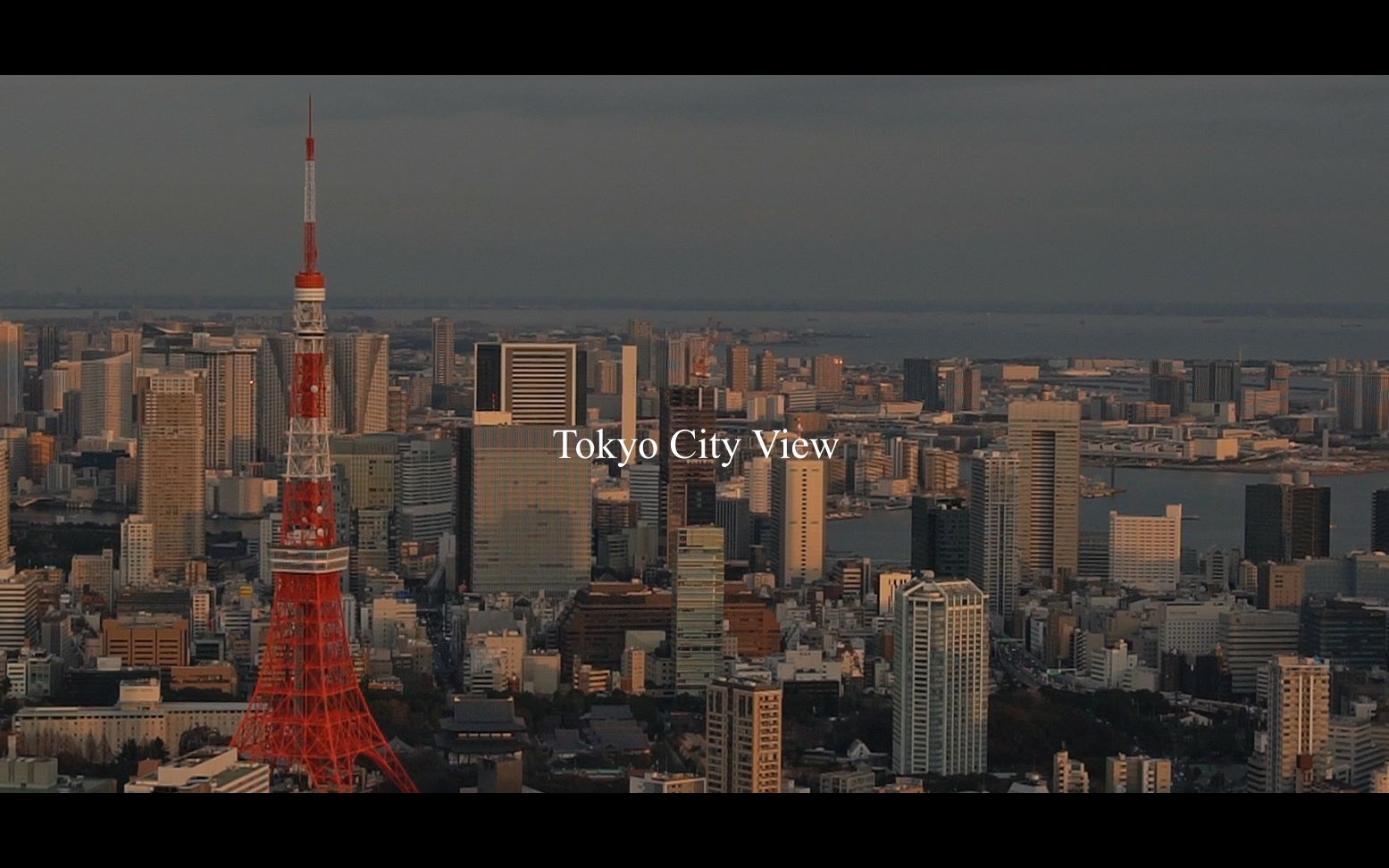 tokyocityview六本木hill展望台黄昏之时