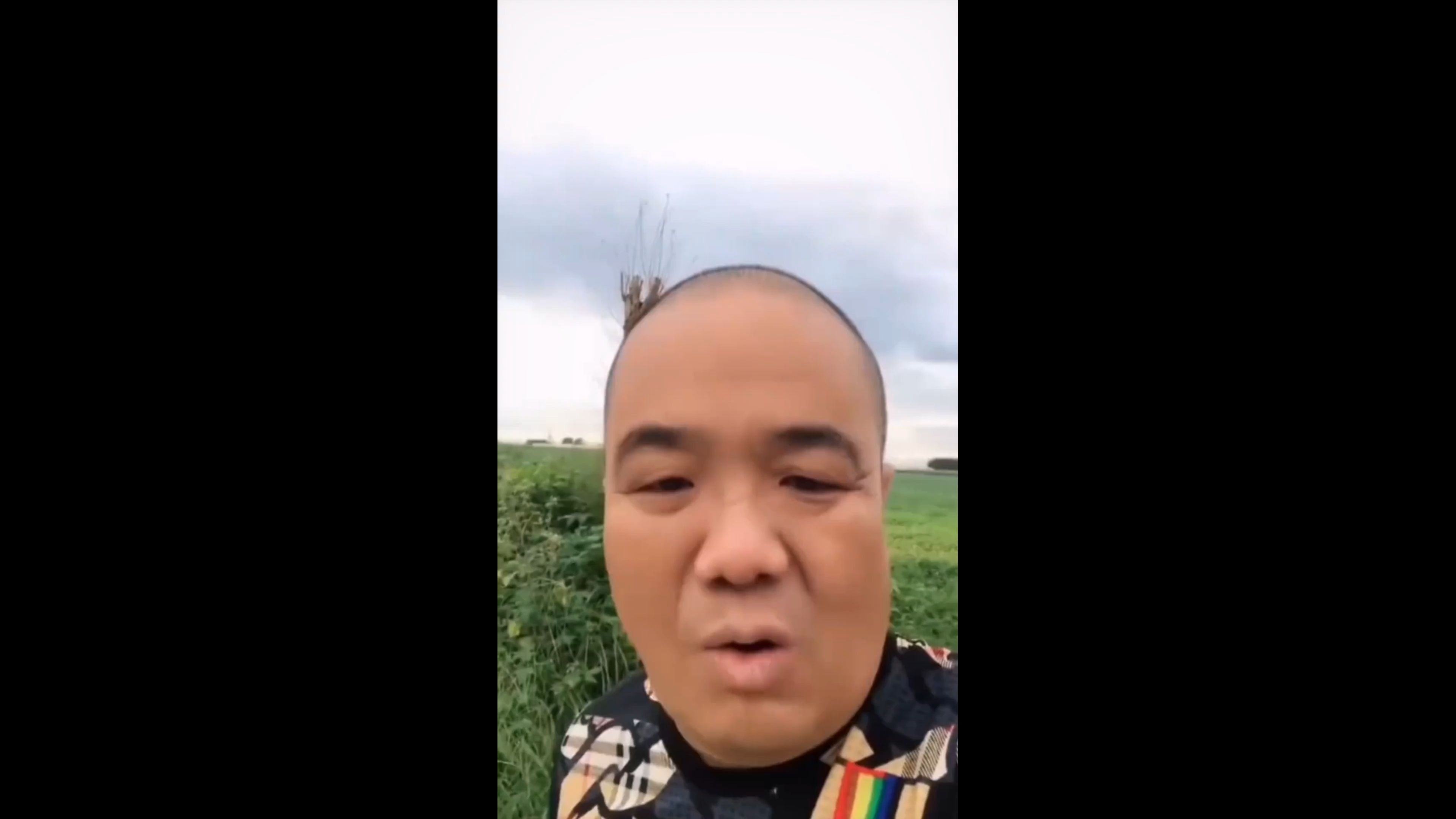 "刀哥头上没长草,因为刀哥是棵树"