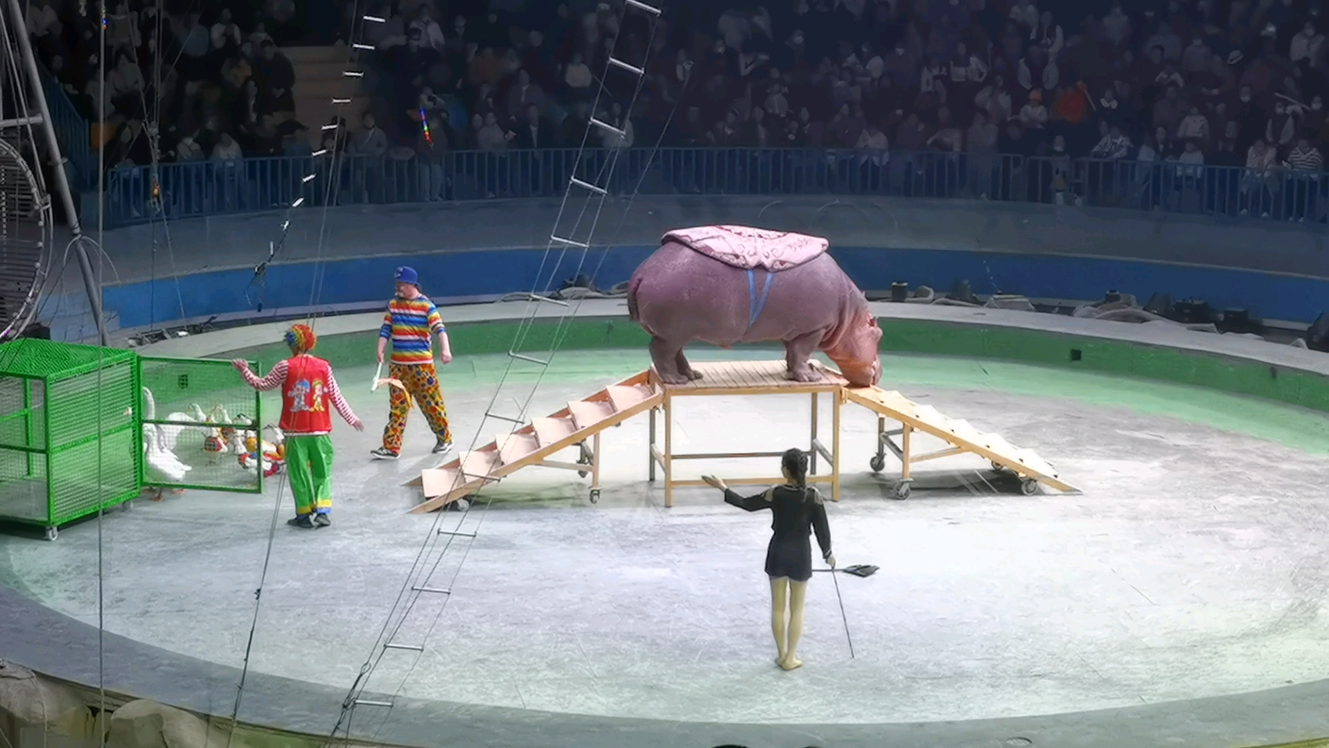 南通野生动物园马戏表演