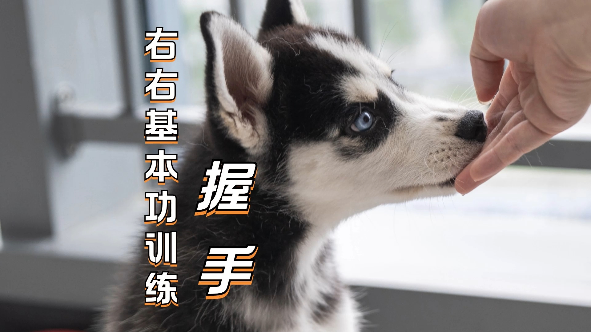 右右基本功训练——握手