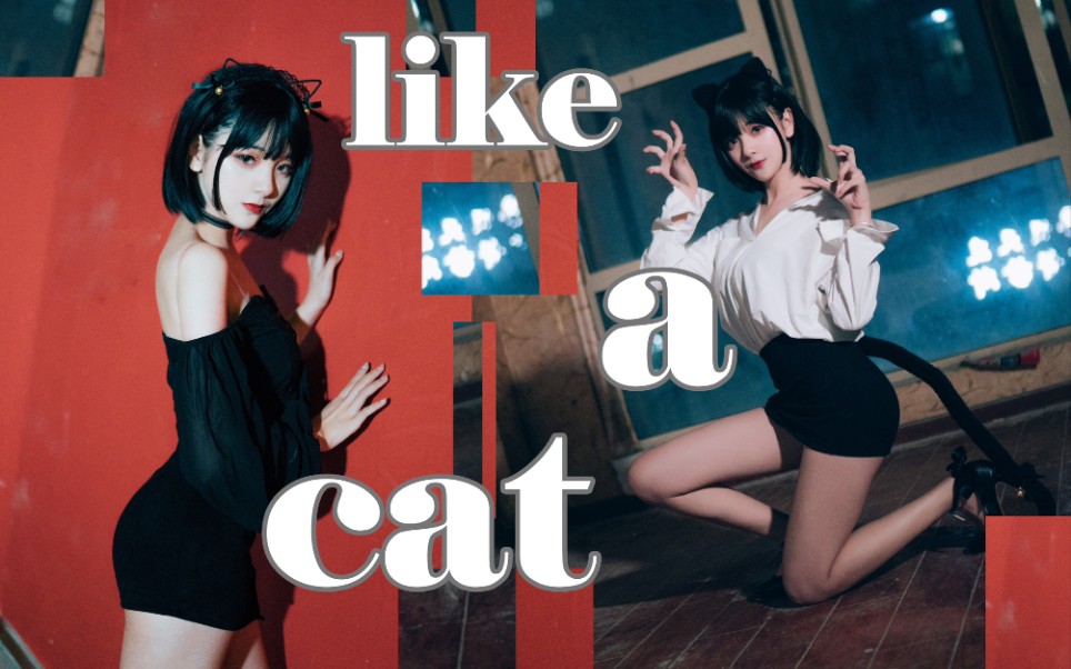 [图]【Gikiki】万粉福利☆like a cat★猫步轻俏 韩舞初尝试♥