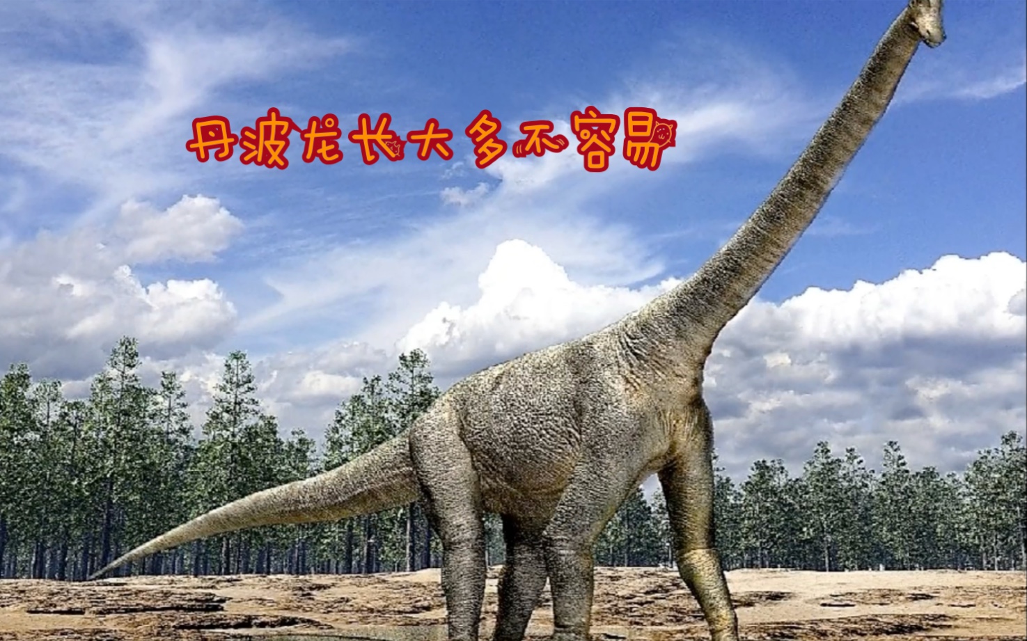 似曾相识,丹波龙刚从蛋里孵化出来,就被吃了.