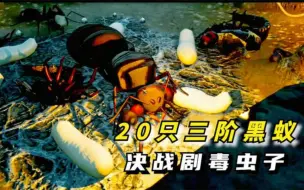 Descargar video: 蚂蚁帝国：20只3阶蚂蚁，终于咬死剧毒虫子！