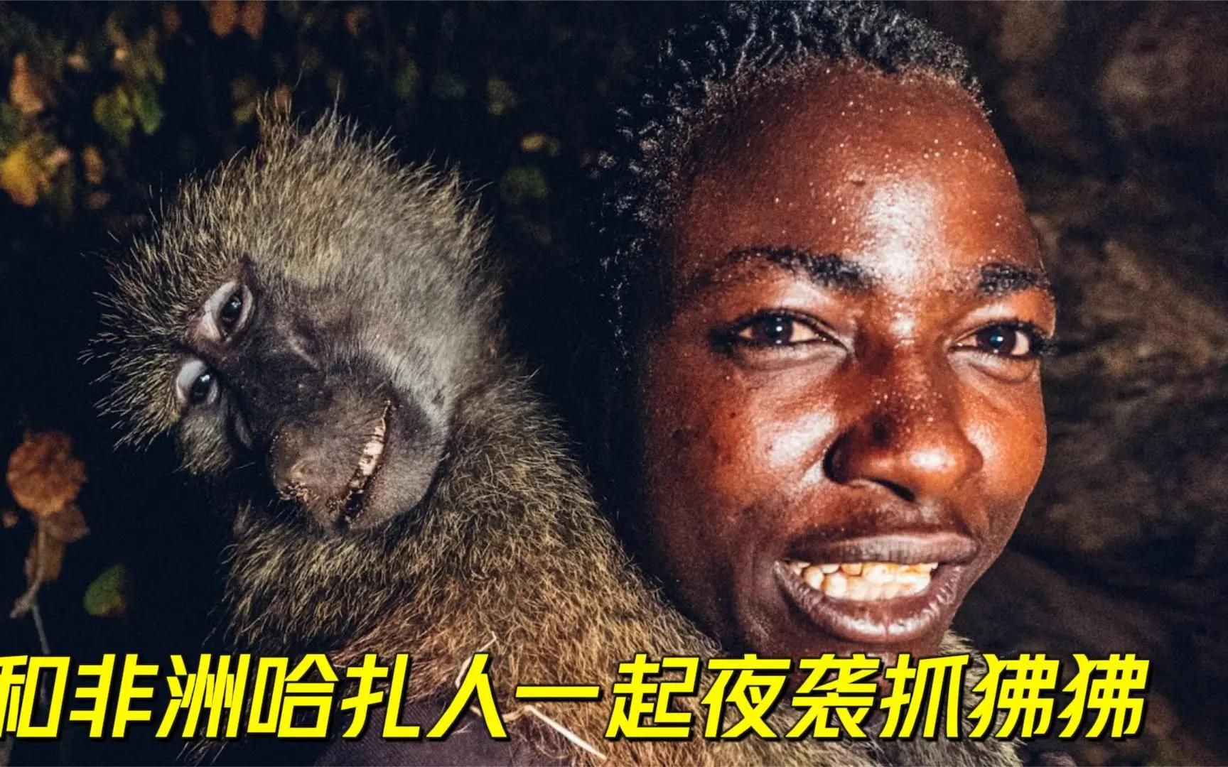 非洲原始部落哈扎比人夜袭抓狒狒,射中50米之外的猎物,出乎意料