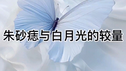 小故事:朱砂痣与白月光的较量