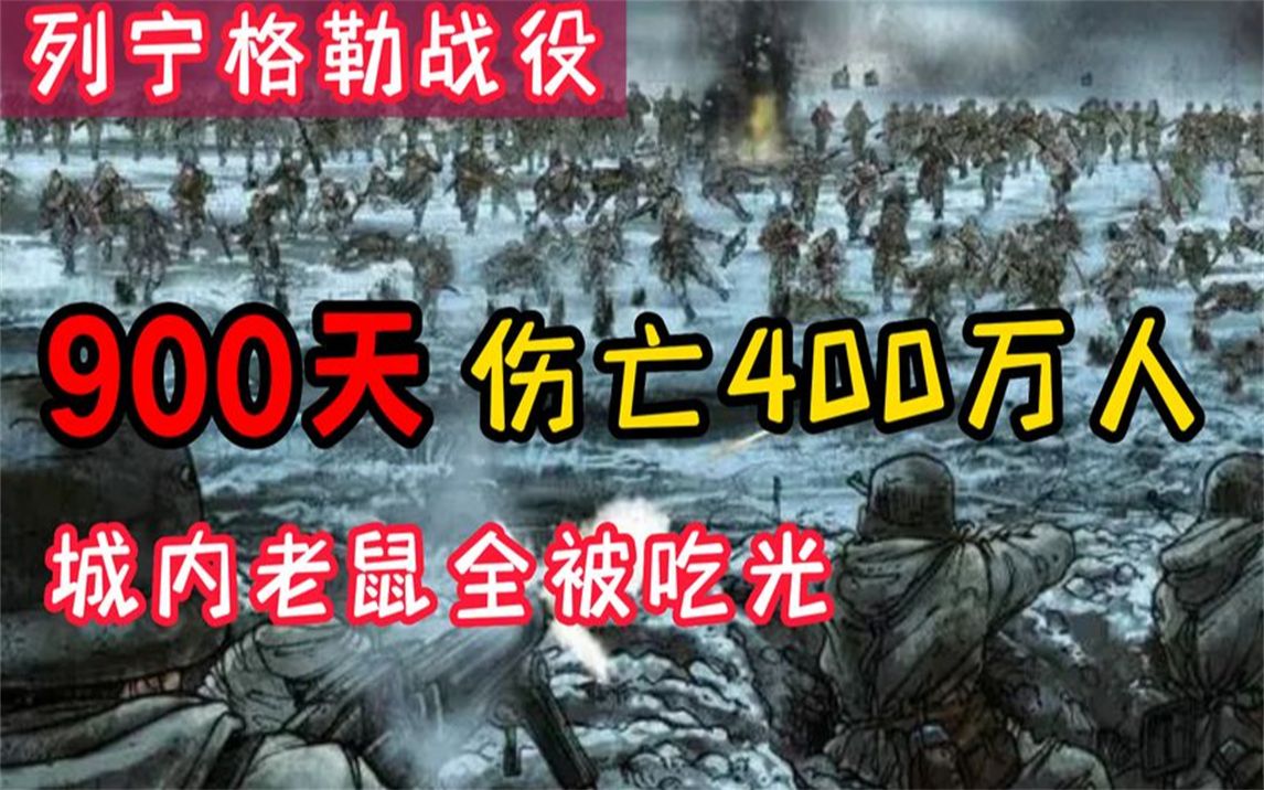 列宁格勒保卫战到底有多惨?900天伤亡400万人,城内老鼠全被吃光哔哩哔哩bilibili