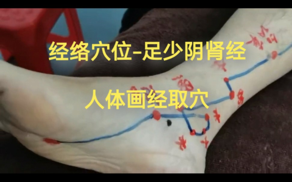 经络穴位-足少阴肾经画经取穴-理论不扎实,辨证不准确,最后实操的结果