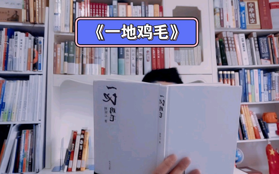 刘震云的《一地鸡毛》,展示了知识分子在现实中的挣扎与沉沦哔哩哔哩bilibili