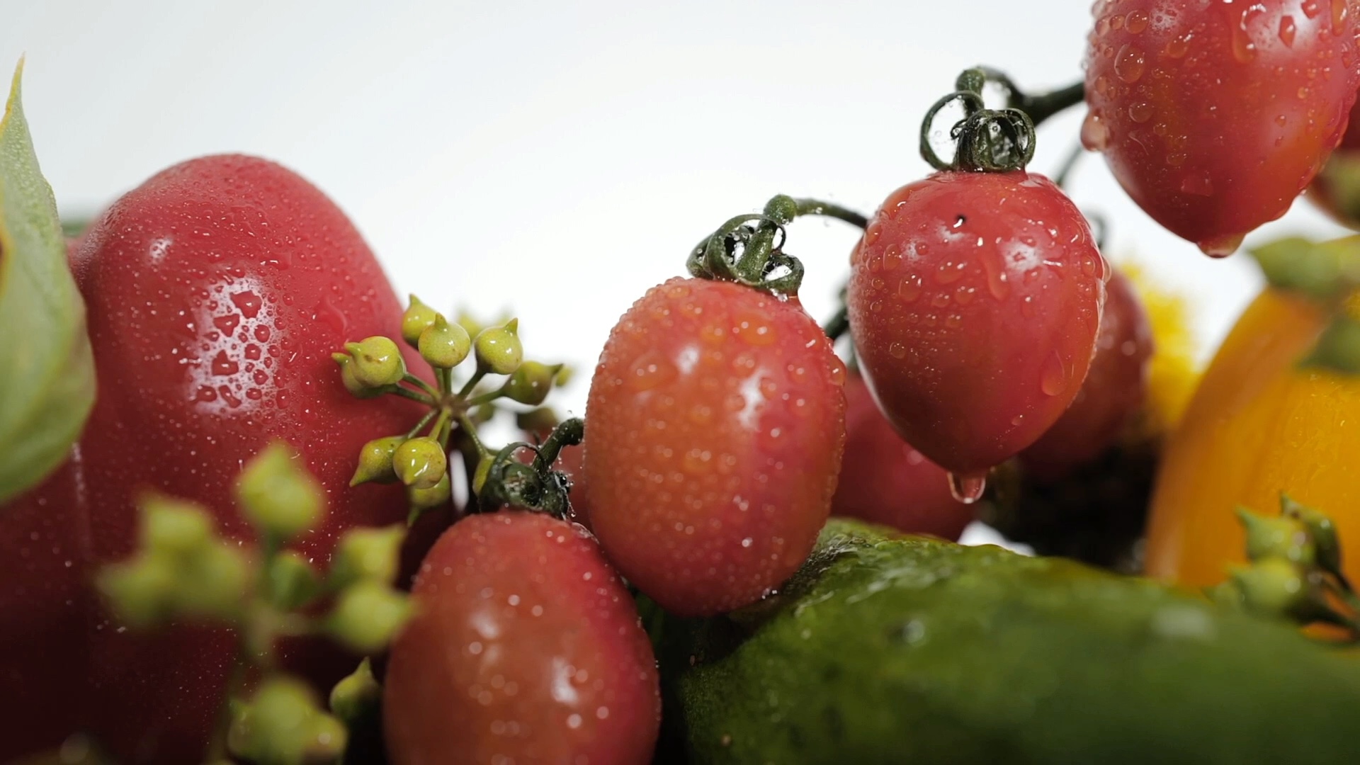 新鲜的蔬果和花,小水滴滴滴滴.