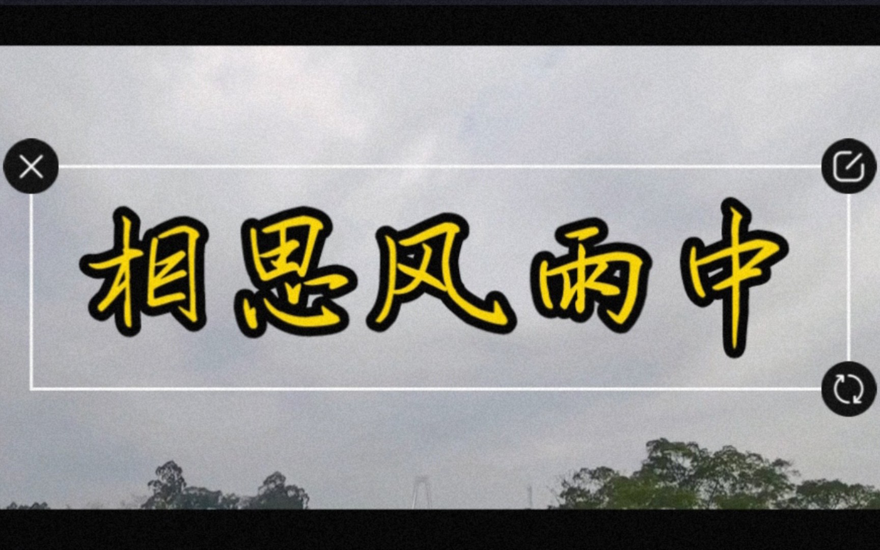 《相思风雨中》张学友,汤宝如