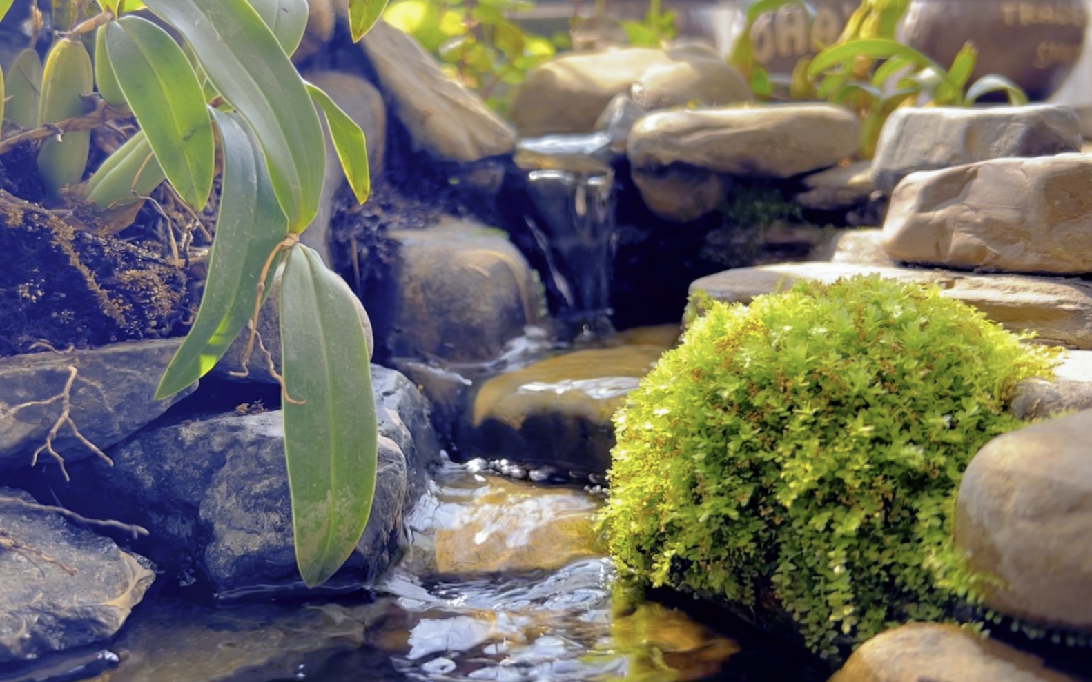 阳台上的溪流水景