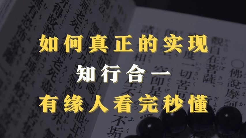 如何真正的实现知行合一?有缘人看完秒懂!哔哩哔哩bilibili