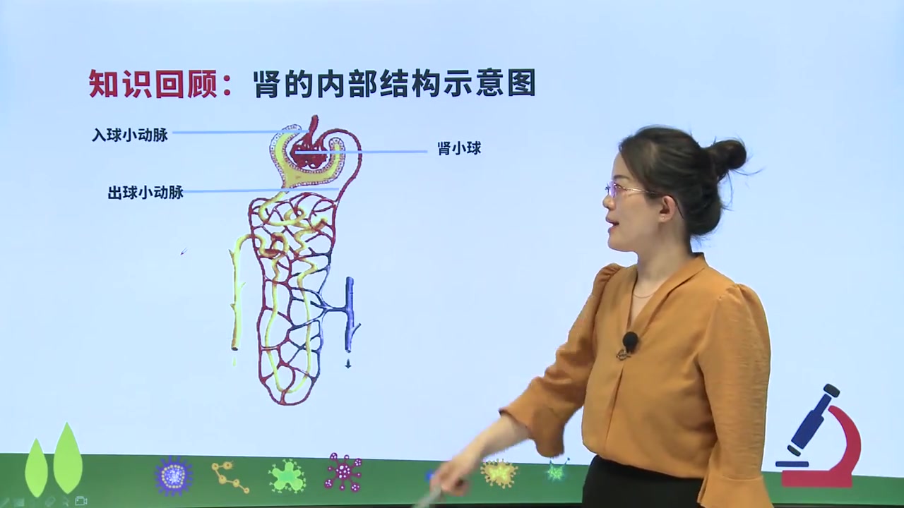 [图]人教版 初中生物 七年级下