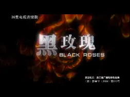 Download Video: 【战争/动作】黑玫瑰（2009）【于震/陈紫函】