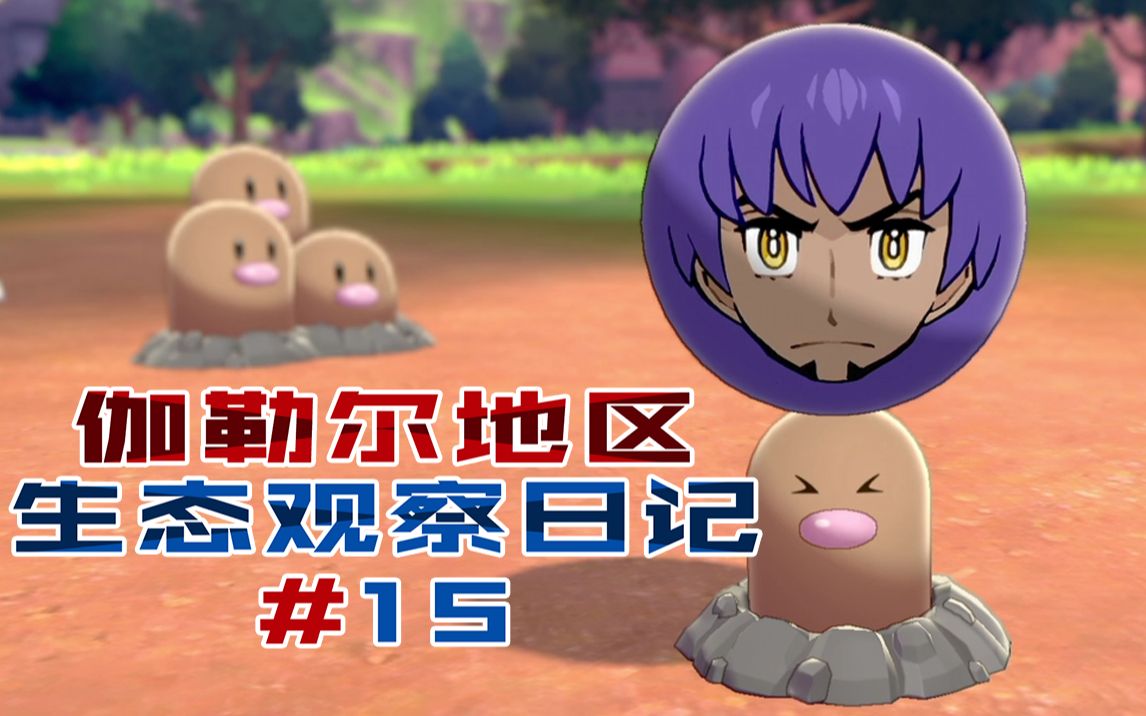 宝可梦剑盾伽勒尔地区宝可梦观察日记第15天157170