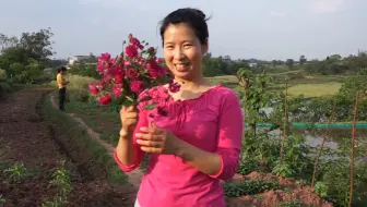 三嬢从小姑子家挖回来药食两用的蒲公英 翠花今天把它种在在家地里 大根却负责搞笑 干活起来有说有笑 幸福莫过于此 哔哩哔哩 Bilibili