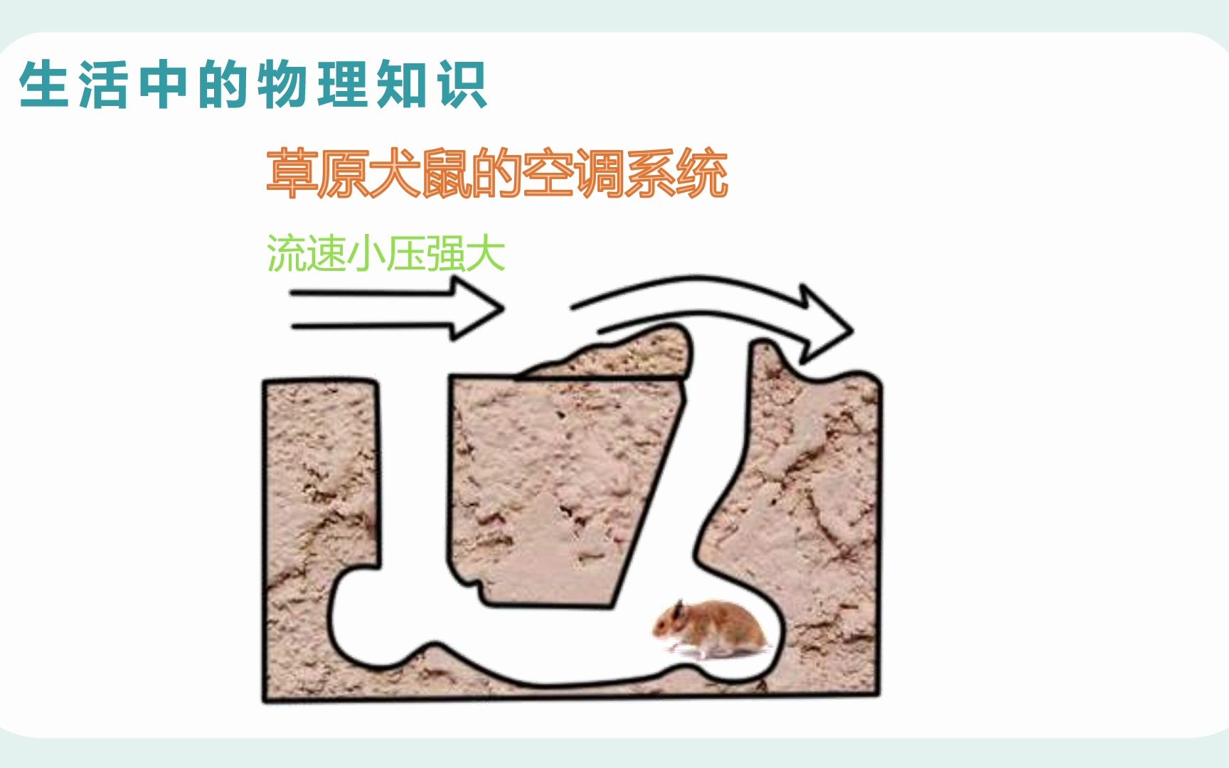 流体压强与流速关系