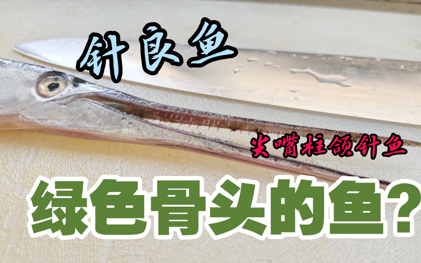 针嘴鱼的功效(针嘴鱼:滋阴润燥,强筋健骨的中药材)