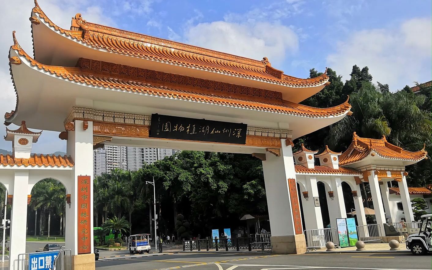 202211广东深圳仙湖植物园1