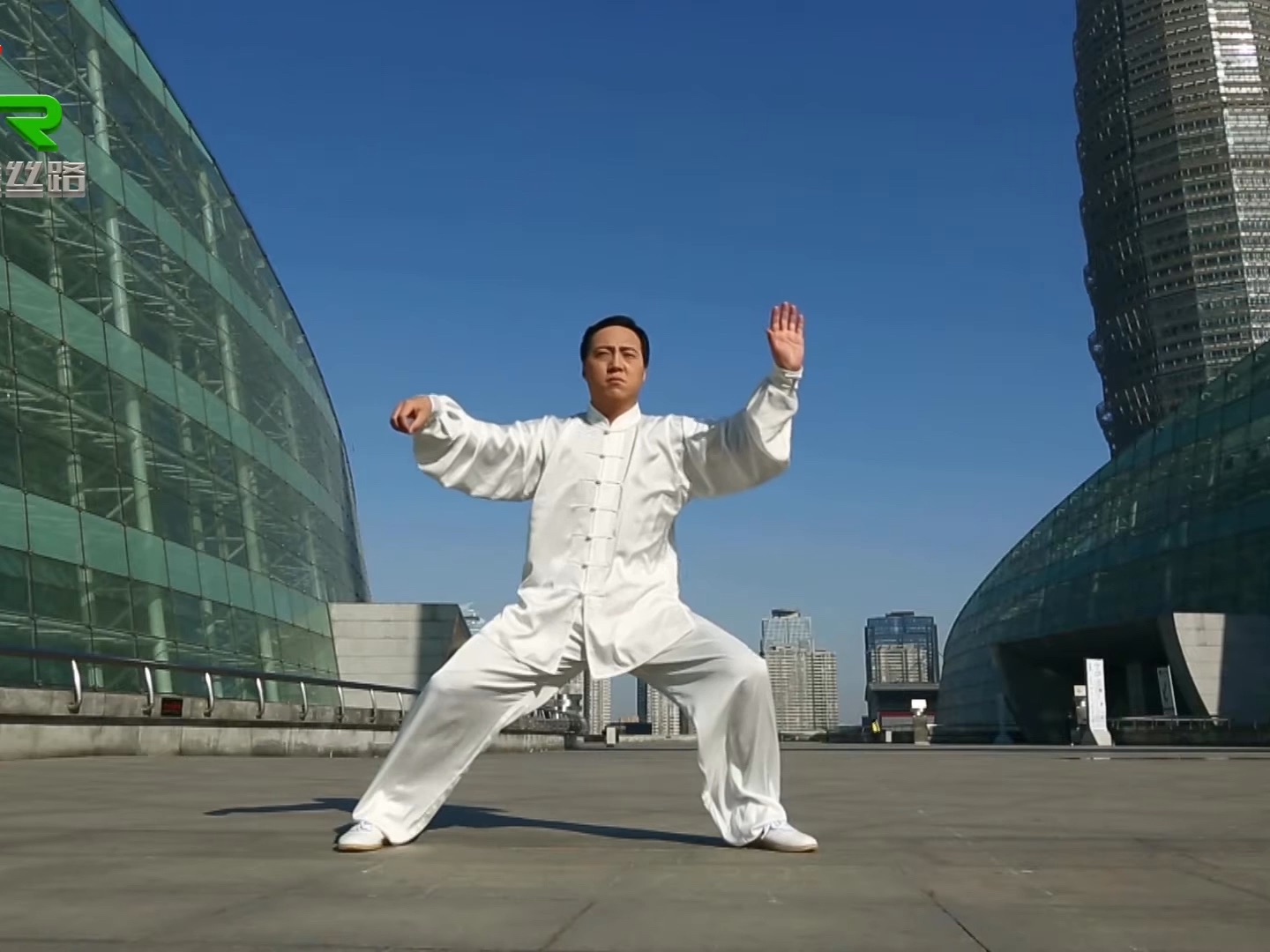 [图]陈氏太极拳・老架一路 74式 (陈斌) Chen style Taichi old series one 74 movements