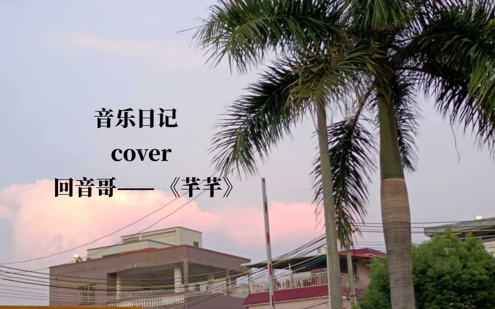 活动  【新人up】【清唱】回音哥——芊芊