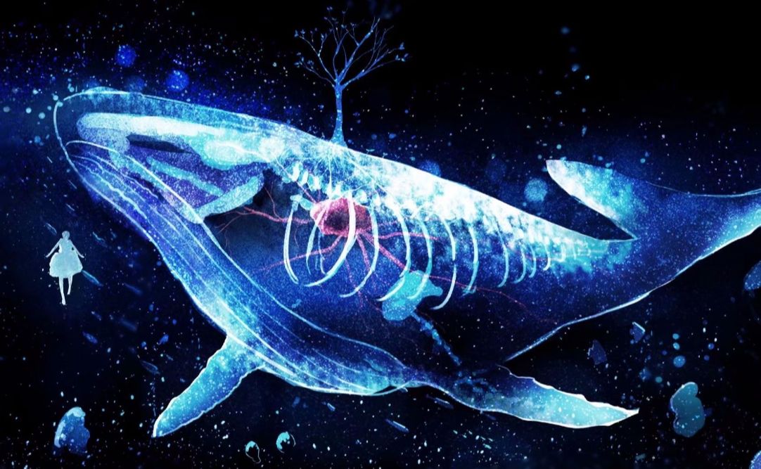 一鲸落,万物生.180吨的鲸鱼沉入海底后到底会经历些什么呢?