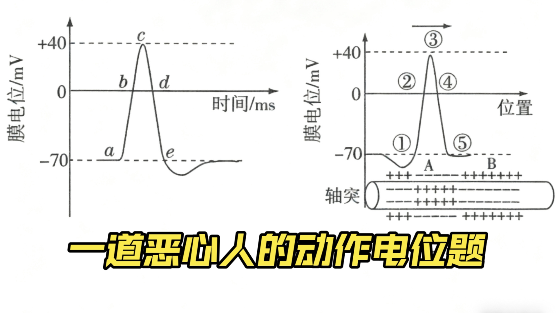 教材没有,老师不讲,考试直接考?静息电位和动作电位原理分析!