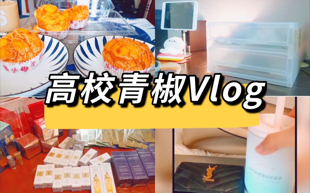 【Vlog07】事业编大学老师博士青椒摸鱼日常|大学老师通勤翻包|大学老师工资去向…解压开箱哔哩哔哩bilibili