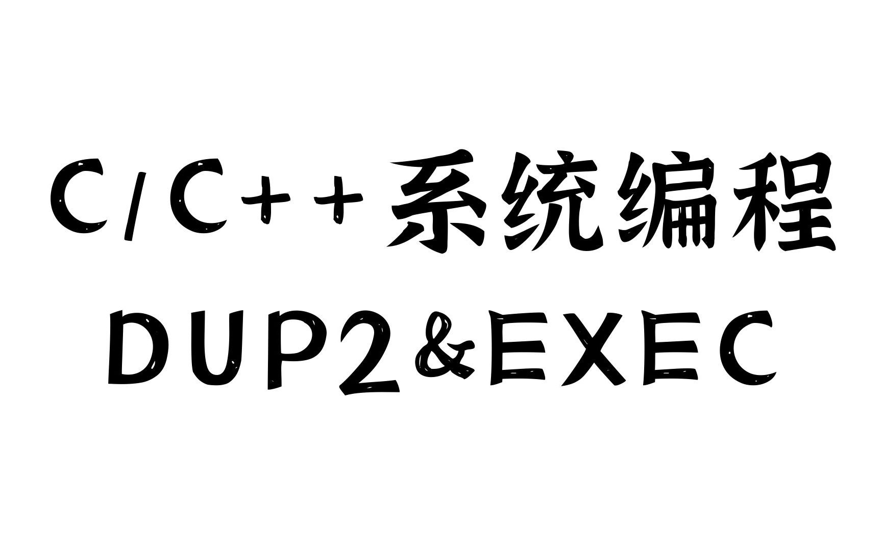 C/C++系统编程(dup2和exec)哔哩哔哩bilibili