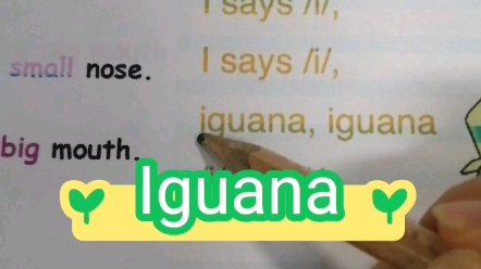 Iguana(鬣蜥蜴/大蜥蜴)发音讲解,属于爬行动物哔哩哔哩bilibili