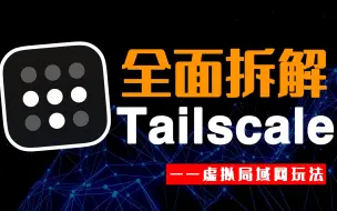 Download Video: 能与ZeroTier齐名的内网穿透工具Tailscale，比ZeroTier还好用？