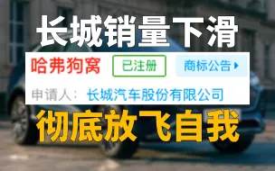 Download Video: 长城为啥卖不过吉利和比亚迪了？