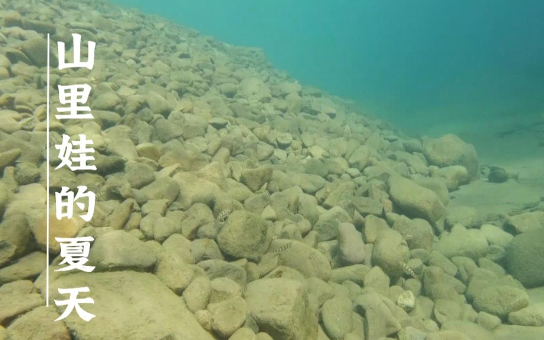 [图]夏日生活 | 带着河北妹子感受南方山沟沟里的夏天  这大热天就靠山涧续命了