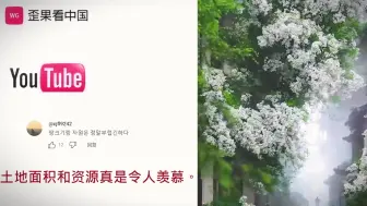 Download Video: 韩国网友看中国如画般风景 评论：这么漂亮的景色怎么是别国的