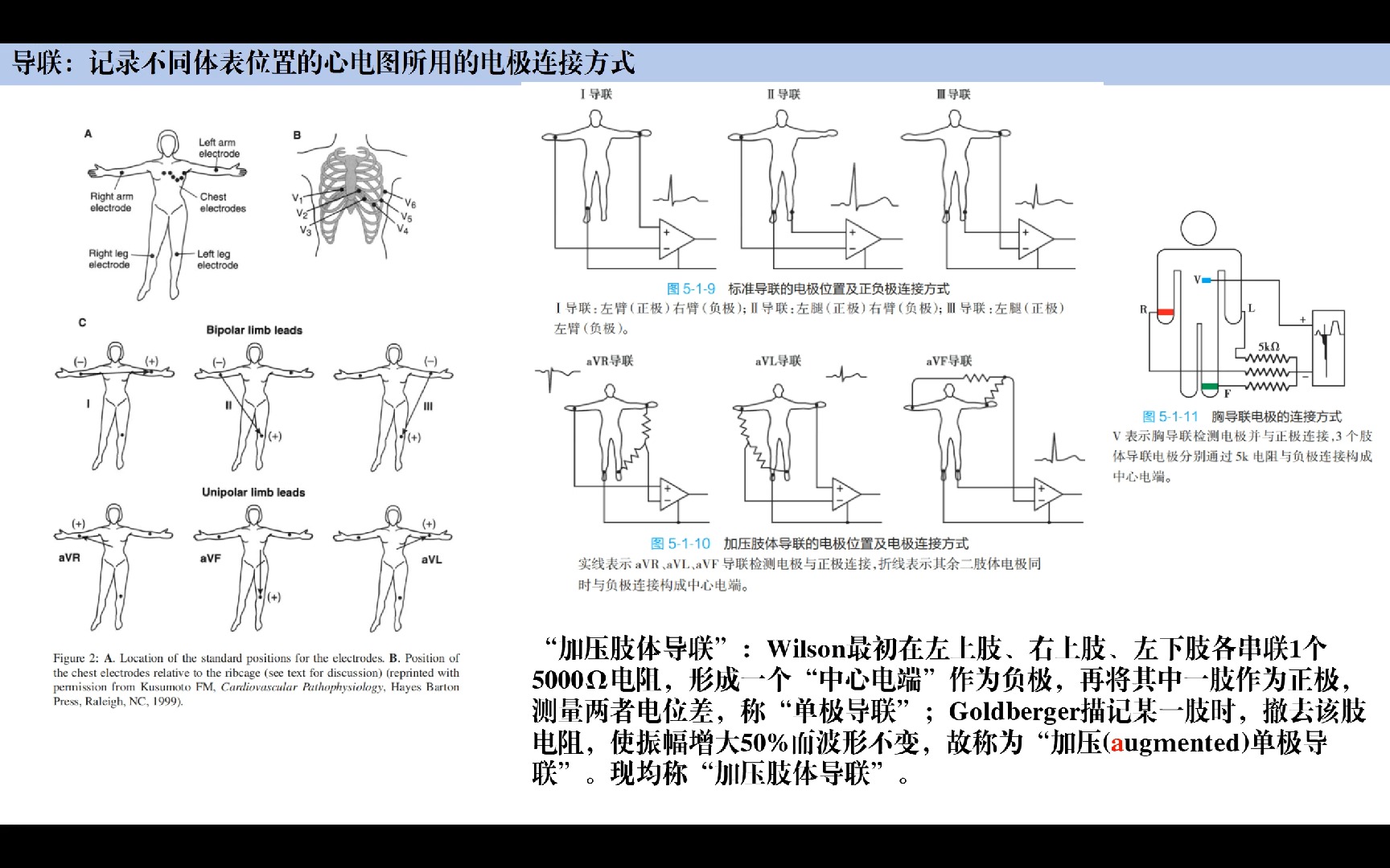 心电图基础1:导联、心电向量、电轴和钟向转位哔哩哔哩bilibili